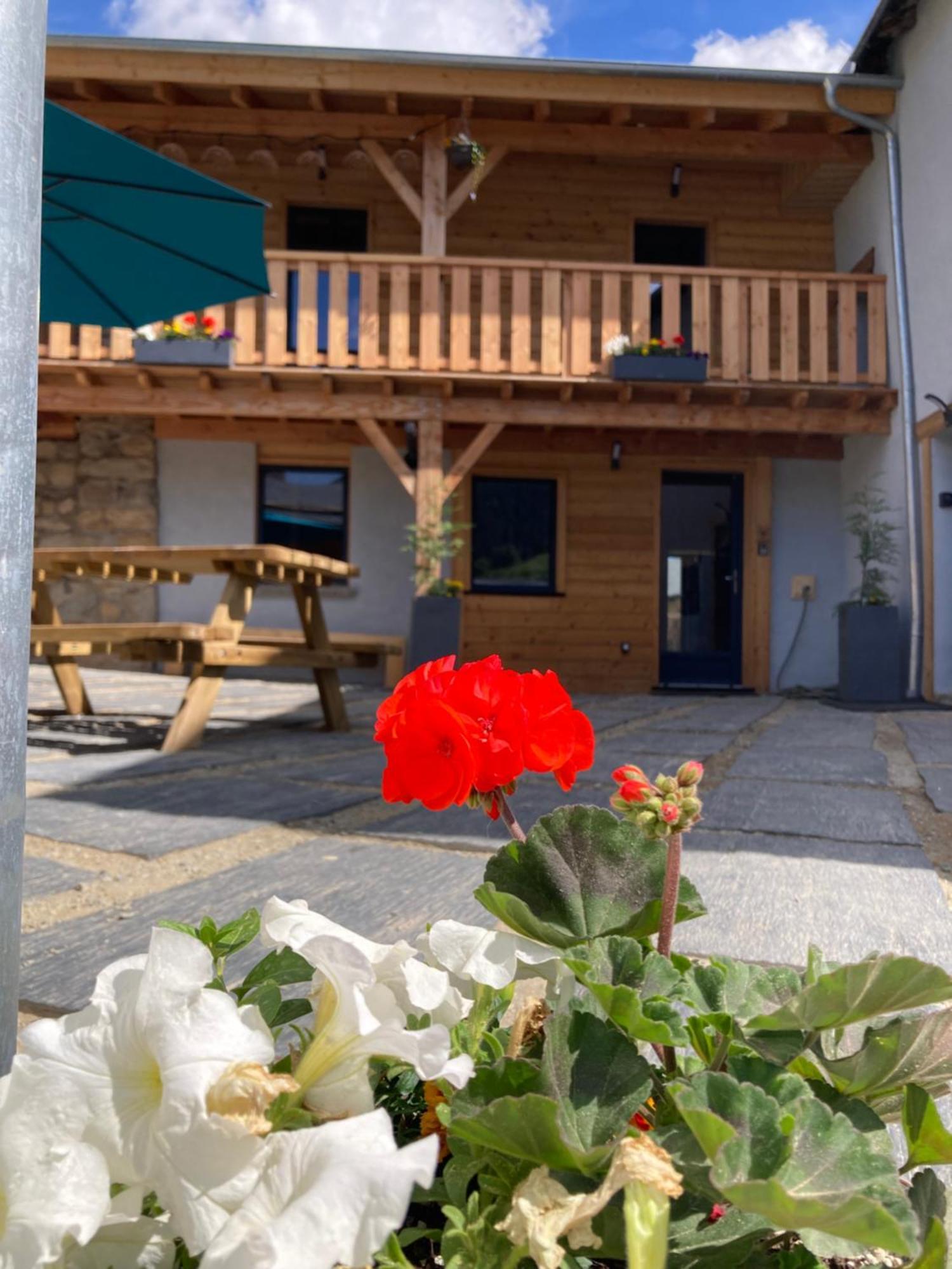 Studio Canellito Le Clos Des Ours Matemale Exterior photo