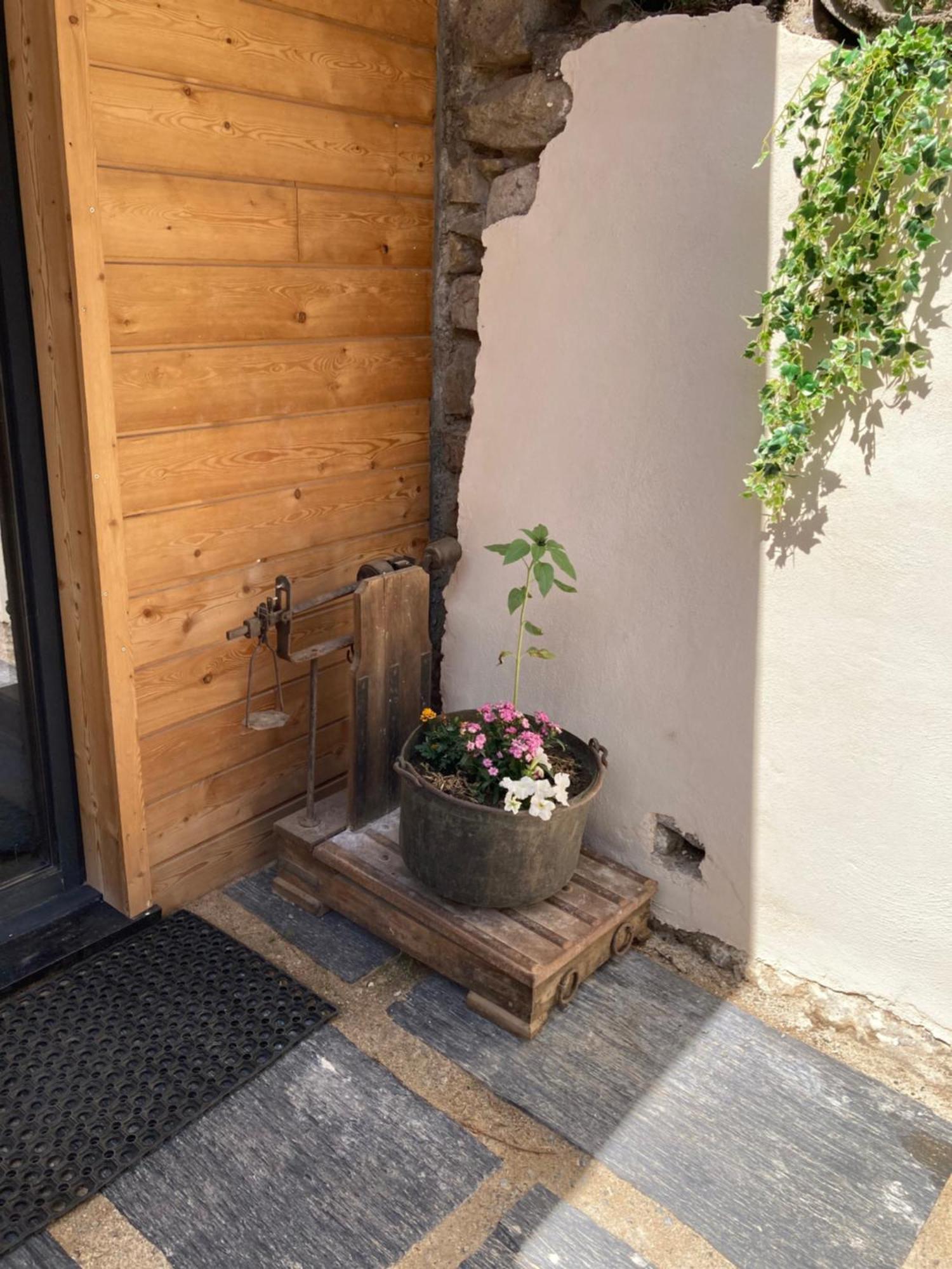 Studio Canellito Le Clos Des Ours Matemale Exterior photo